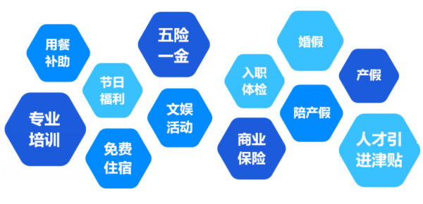 提供全面、系統(tǒng)、專業(yè)的培訓和廣闊的<br>職業(yè)發(fā)展空間和提升機會
